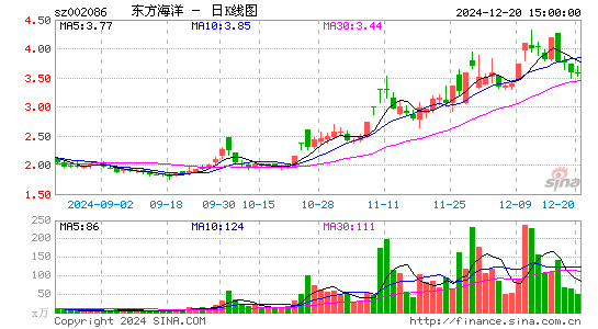 ST东洋