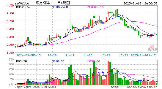 ST东洋