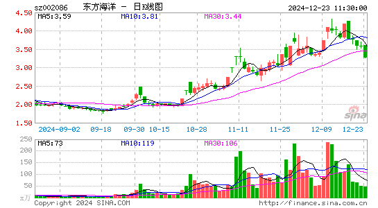 ST东洋