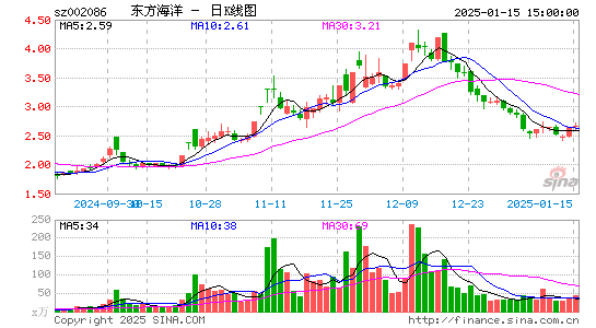 ST东洋