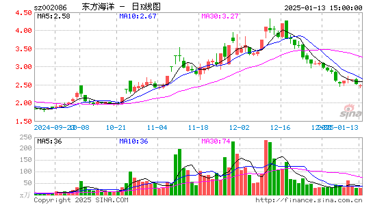 ST东洋