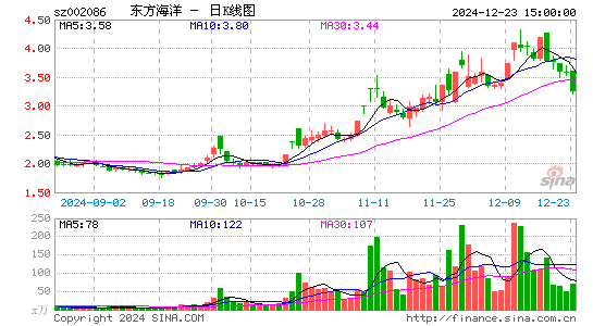 ST东洋