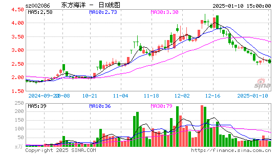 ST东洋