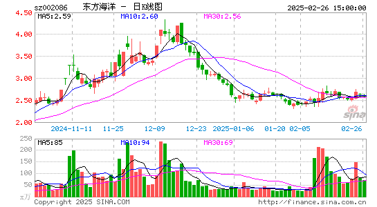 ST东洋