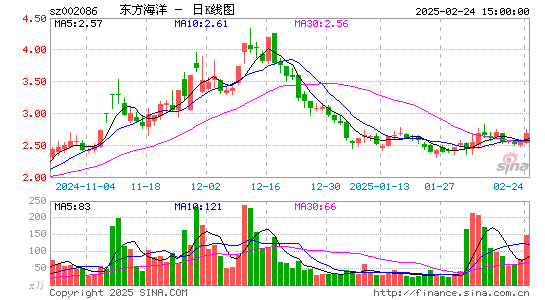 ST东洋