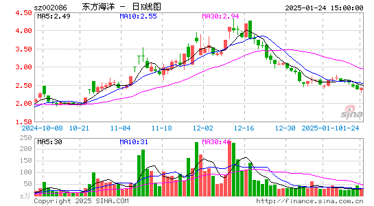 ST东洋