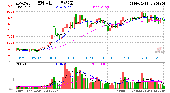 国脉科技