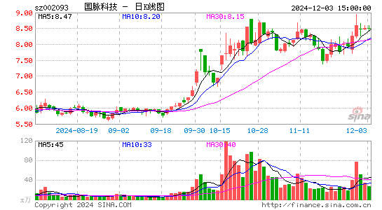 国脉科技