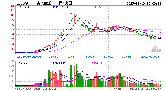 青岛金王