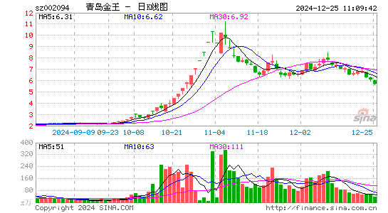 青岛金王