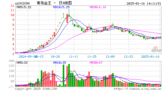 青岛金王