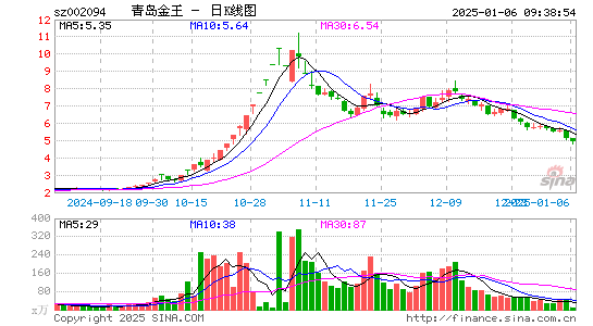 青岛金王