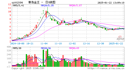 青岛金王