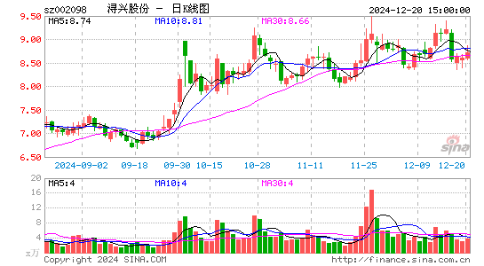 浔兴股份