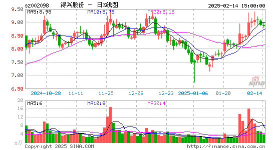 浔兴股份