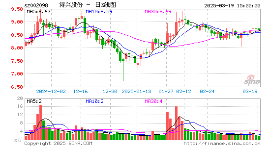 浔兴股份