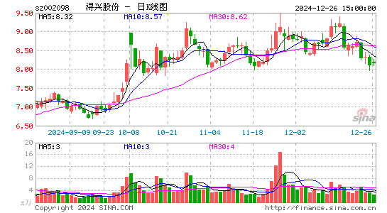 浔兴股份