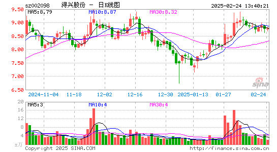 浔兴股份