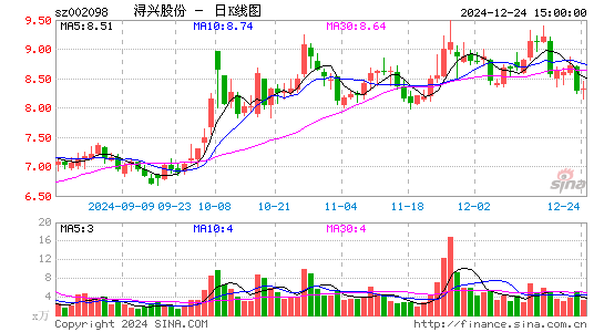 浔兴股份