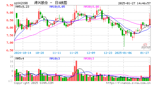 浔兴股份