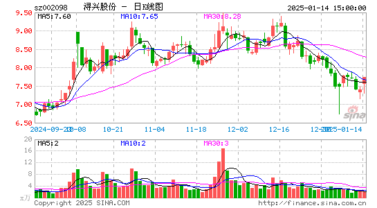 浔兴股份