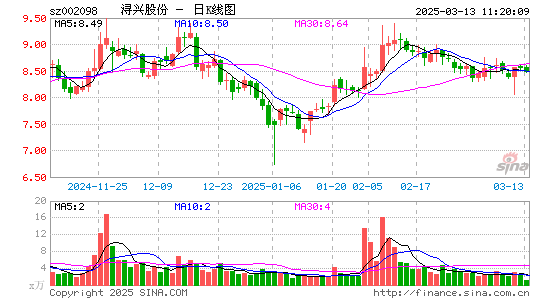 浔兴股份