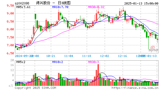 浔兴股份