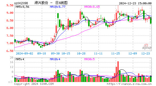 浔兴股份