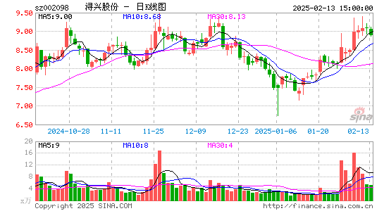 浔兴股份