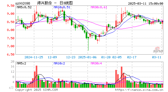 浔兴股份