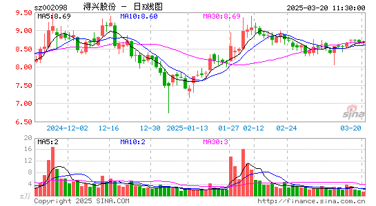 浔兴股份