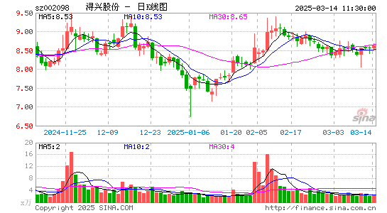 浔兴股份