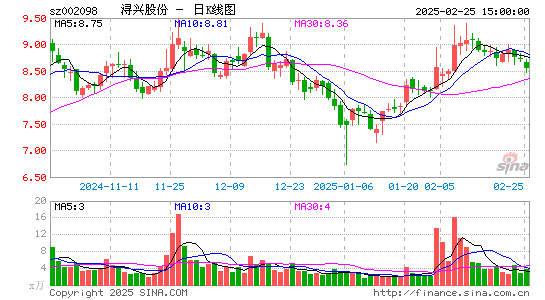 浔兴股份