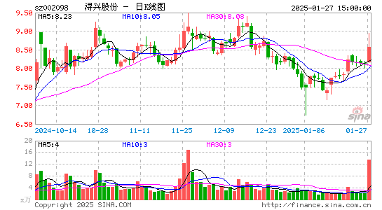 浔兴股份