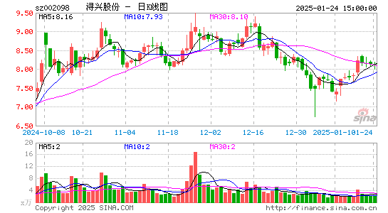 浔兴股份