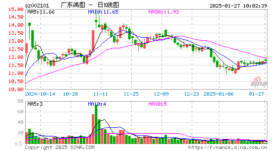 广东鸿图