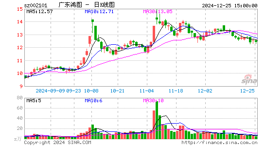 广东鸿图