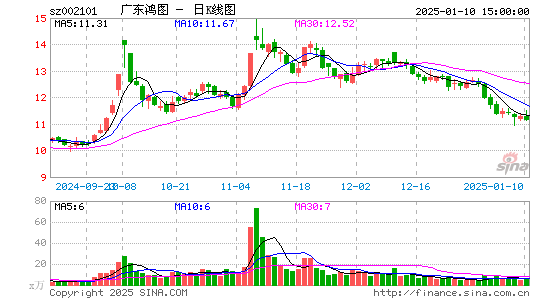 广东鸿图