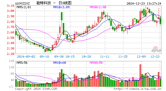 ST冠福