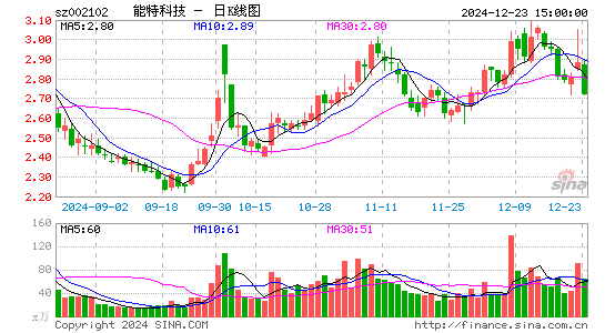 ST冠福