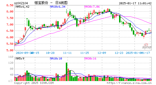 恒宝股份