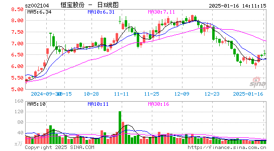 恒宝股份