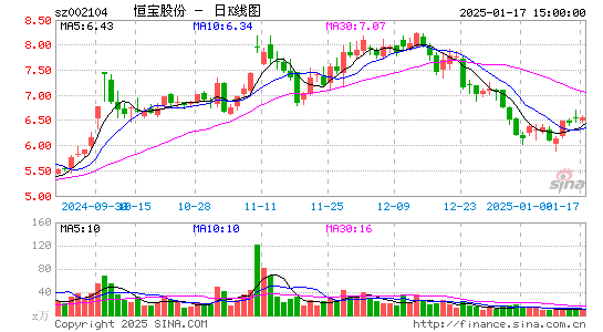 恒宝股份