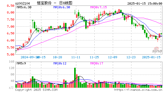 恒宝股份