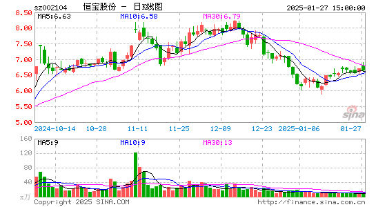 恒宝股份