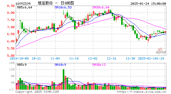 恒宝股份