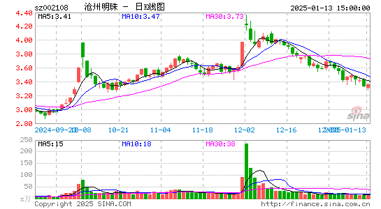 沧州明珠