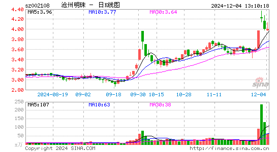 沧州明珠