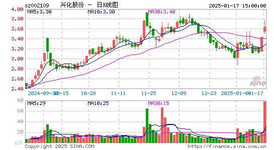 兴化股份