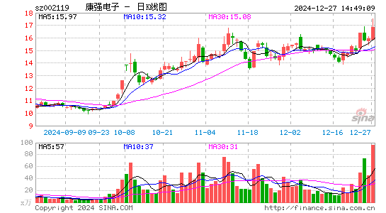 康强电子